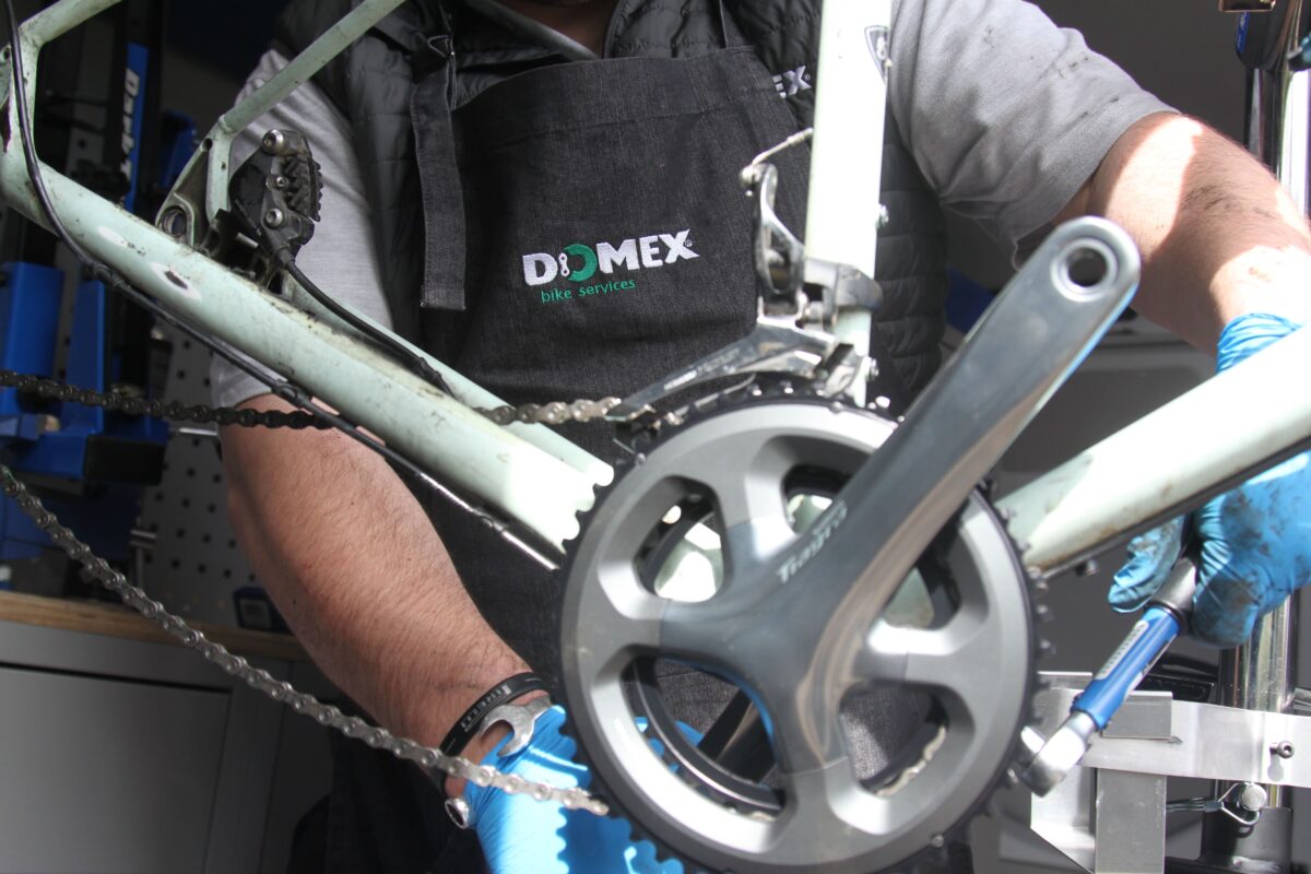 Cytech-trained Domex Bikes mechanic using a chain checker tool to measure wear on a bike cassette