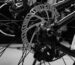 Close-up view of a bicycle hydraulic disc brake caliper and rotor assembly mounted on the rear wheel.